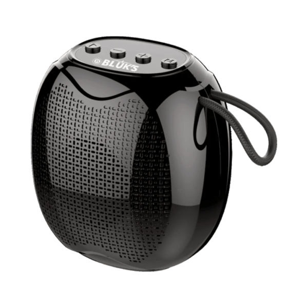 BX-171 | Portable Wireless Speaker