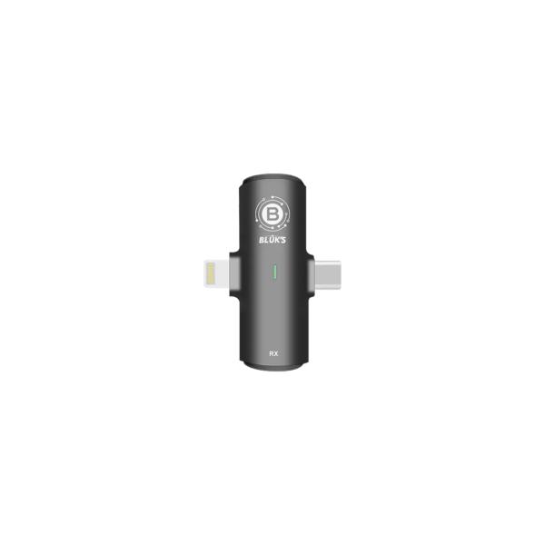 BX-24 - Image 2