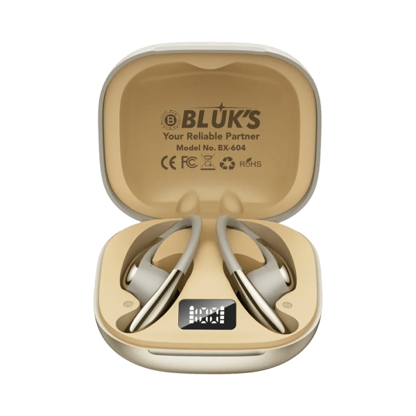 BX-604 - Image 2