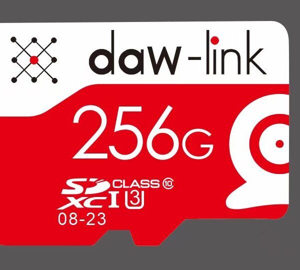 Memory Card 50 mbps (256 GB)